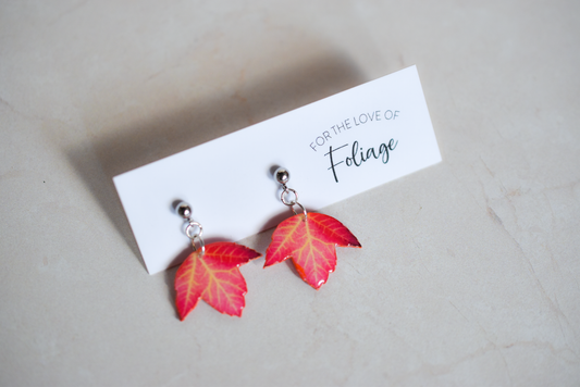 Red Sycamore Stud Plant Earrings | Leaf Earrings