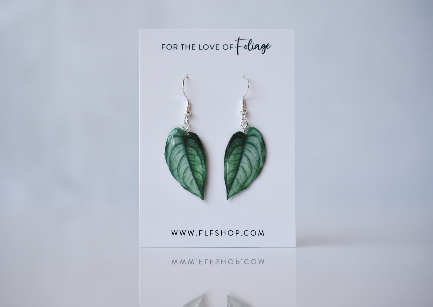 Monstera Siltepecana Plant Earrings | Leaf Earrings