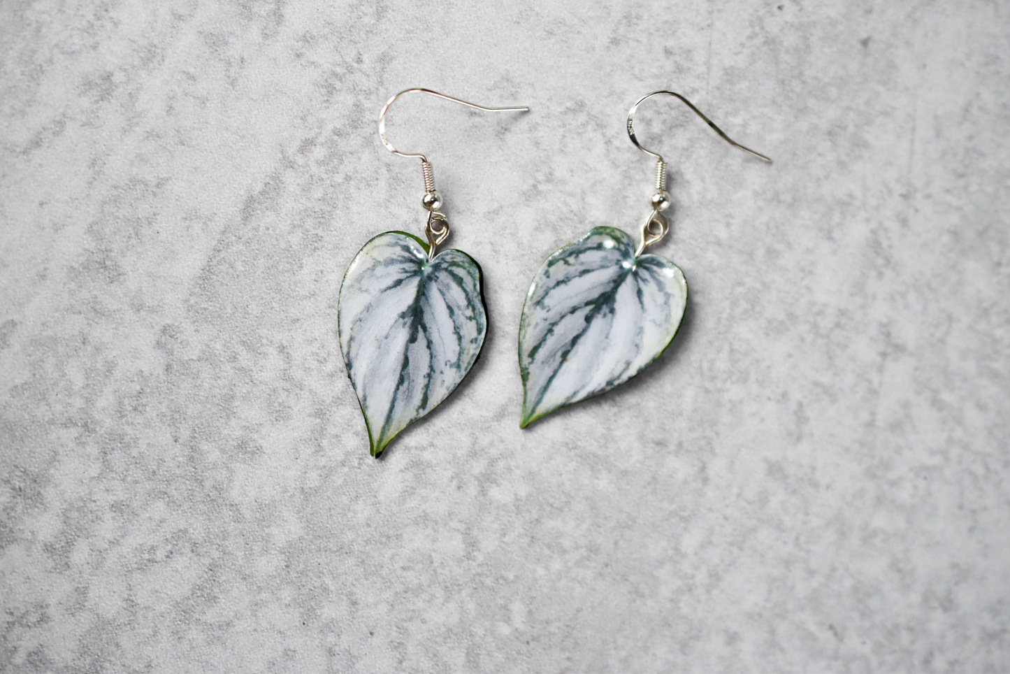 Philodendron Brandtianum Plant Earrings | Leaf Earrings