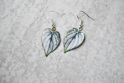 Philodendron Brandtianum Plant Earrings | Leaf Earrings