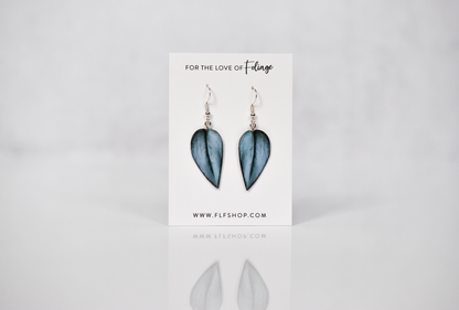 Scindapsus Treubii Moonlight Plant Earrings | Leaf Earrings