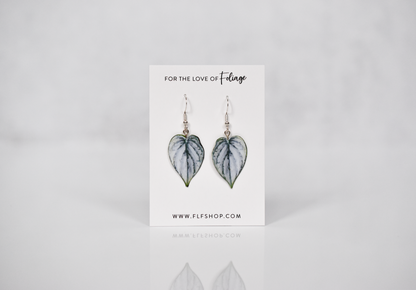 Philodendron Brandtianum Plant Earrings | Leaf Earrings