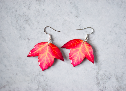 Red Sycamore Plant Earrings | Leaf Earrings