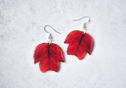 Tulip Tree Poplar Plant Earrings | Leaf Earrings