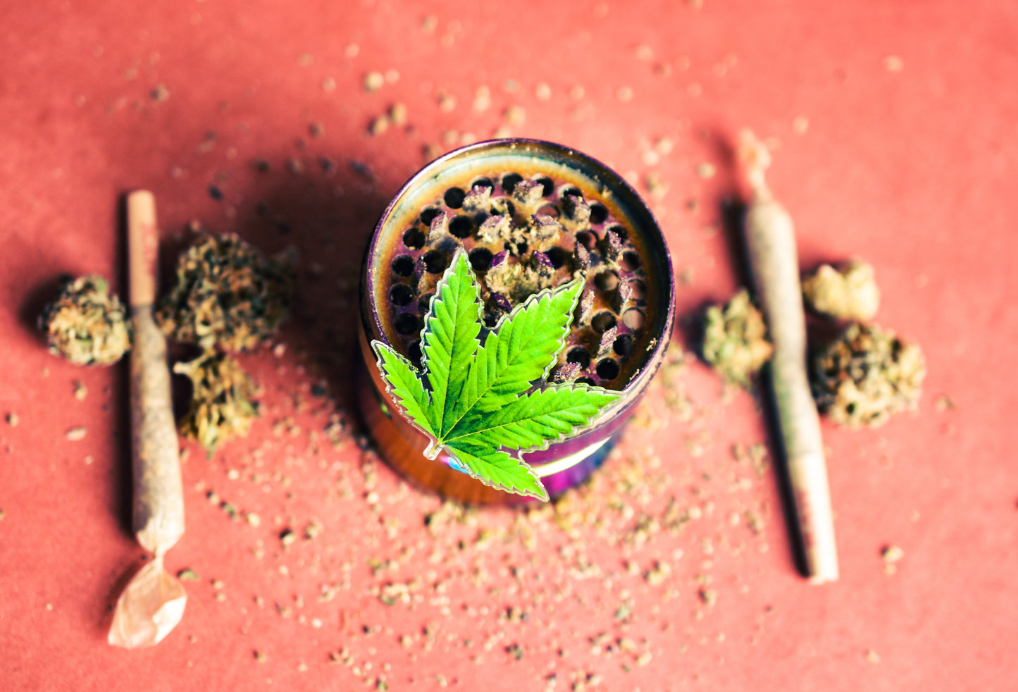 Marijuana Leaf Plant Pin | Pot Leaf Pin | 420 Pin | Cannabis