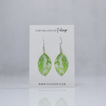 Variegated Persicaria Virginiana "Jumpseed" Plant Earrings | Leaf Earrings