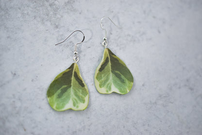 Ficus Triangularis Plant Earrings | Leaf Earrings