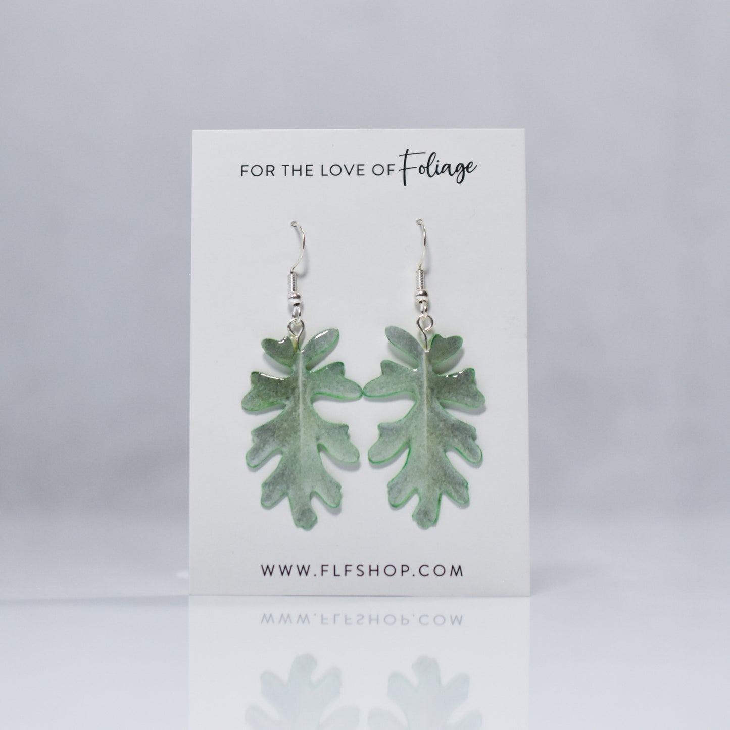 Jacobaea Maritima "Silver Ragwort" Plant Earrings | Leaf Earrings