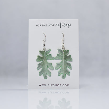 Jacobaea Maritima "Silver Ragwort" Plant Earrings | Leaf Earrings