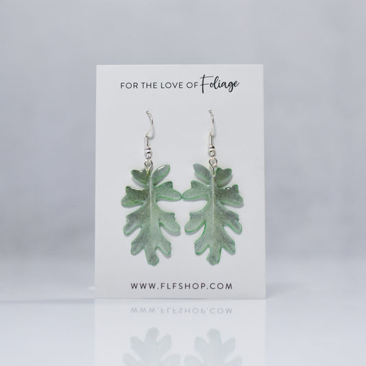 Jacobaea Maritima "Silver Ragwort" Plant Earrings | Leaf Earrings