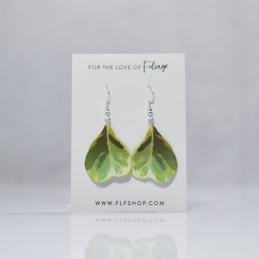 Ficus Triangularis Plant Earrings | Leaf Earrings