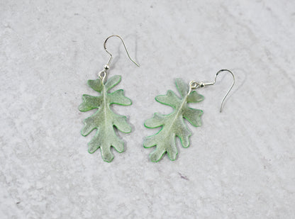 Jacobaea Maritima "Silver Ragwort" Plant Earrings | Leaf Earrings