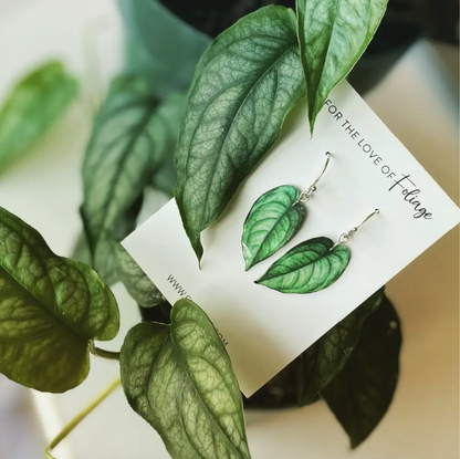 Monstera Siltepecana Plant Earrings | Leaf Earrings